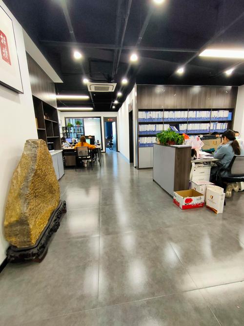 企業(yè)服務(wù)全解析 從代理記賬到稅務(wù)登記的完整指南